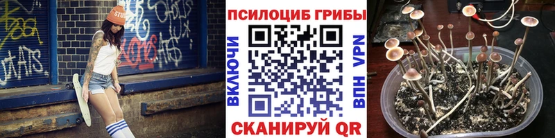 Псилоцибиновые грибы мухоморы  Купить где  Красный Кут 